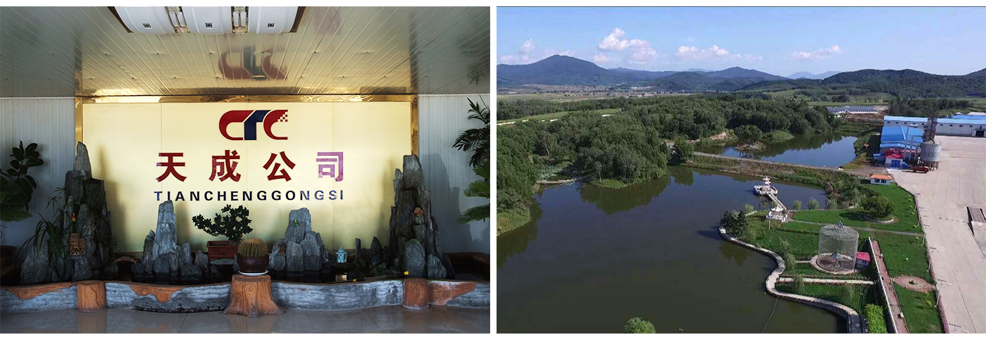 企業(yè)簡介